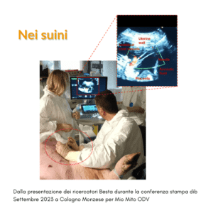 Tecnica-di-sostituzione-del-DNA-mitocondriale-la-nuova-speranza-per-le-famiglie-con-malattie-mitocondriali-1-300x300