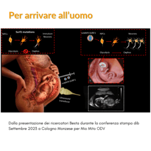 Tecnica-di-sostituzione-del-DNA-mitocondriale-la-nuova-speranza-per-le-famiglie-con-malattie-mitocondriali-2-300x300