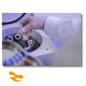 nuove-frontiere-della-scienza-per-lanno-2024-nella-terapia-e-diagnosi-mitocondriale-1-300x300 (1)